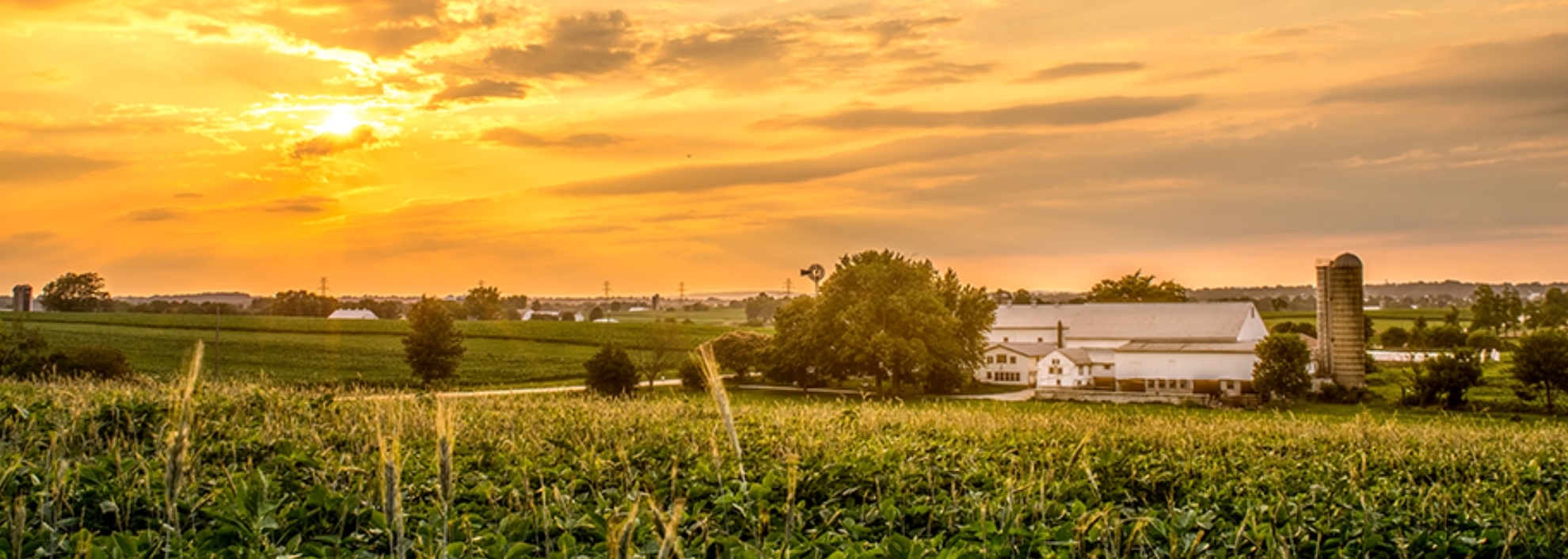 Farm at Sunset